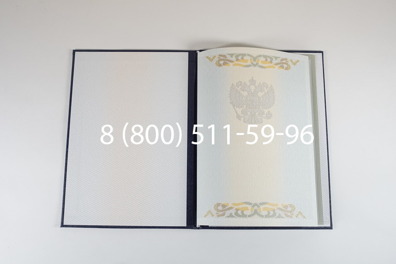 Диплом о высшем образовании 2003-2009 годов в Новосибирске