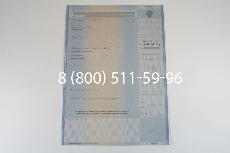 Диплом о высшем образовании 2003-2009 годов в Новосибирске