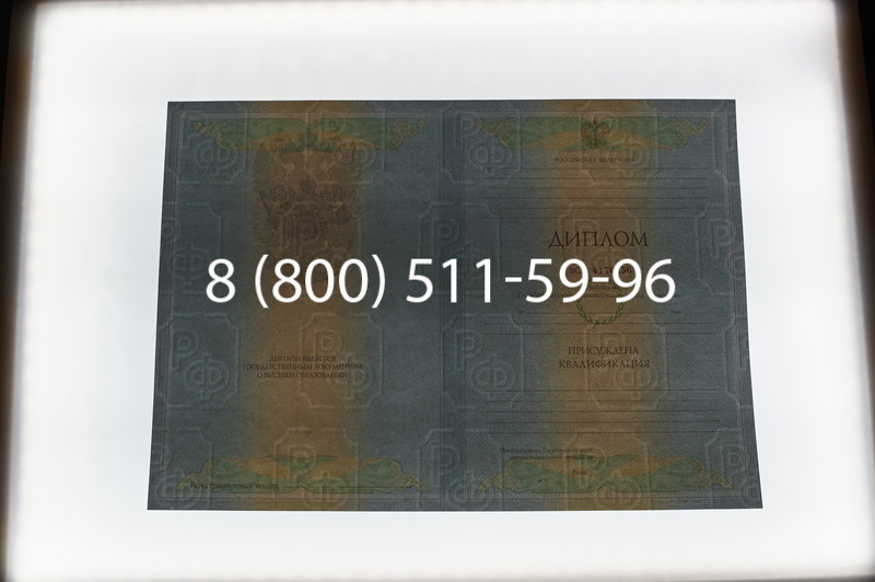 Заказать Диплом о высшем образовании 2010-2011 годов в Новосибирске