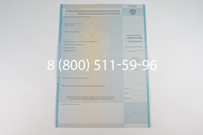 Диплом о высшем образовании 2010-2011 годов в Новосибирске
