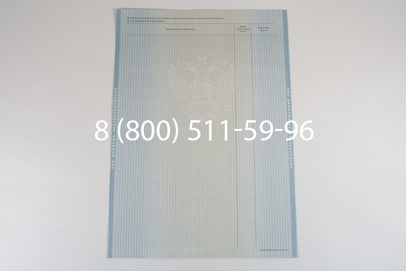 Диплом о высшем образовании 2012-2013 годов в Новосибирске