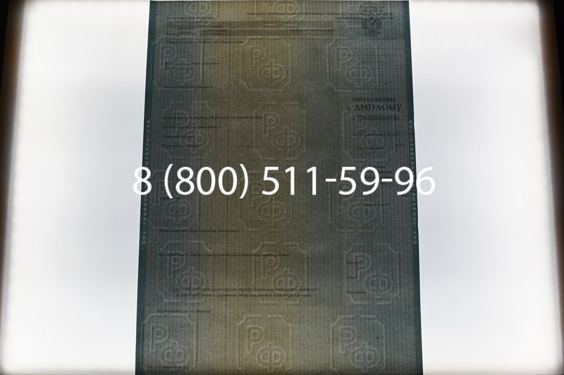 Заказать Диплом о высшем образовании 2012-2013 годов в Новосибирске