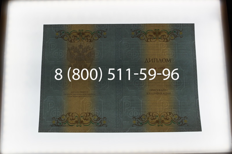 Заказать Диплом о высшем образовании 2012-2013 годов в Новосибирске