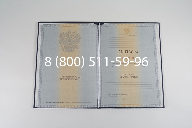 Диплом о высшем образовании 2012-2013 годов в Новосибирске