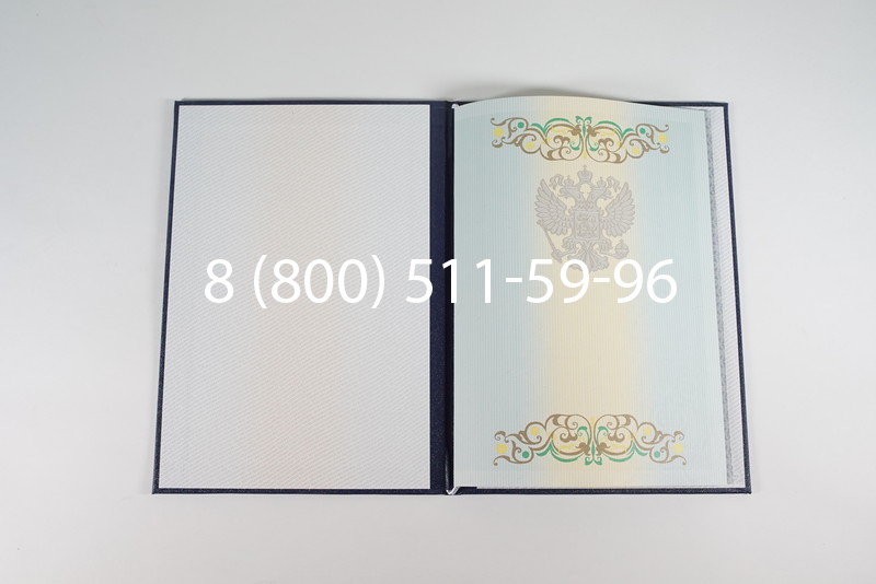 Диплом о высшем образовании 2012-2013 годов в Новосибирске