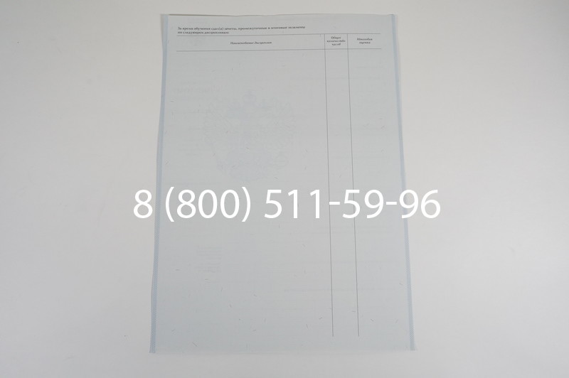 Диплом ПТУ 2007-2010 годов в Новосибирске