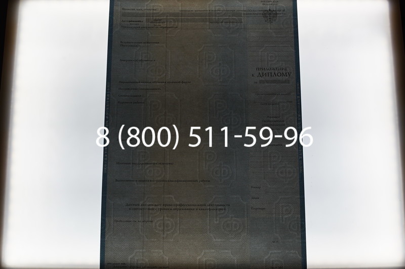 Заказать Диплом специалиста 2003-2009 годов в Новосибирске