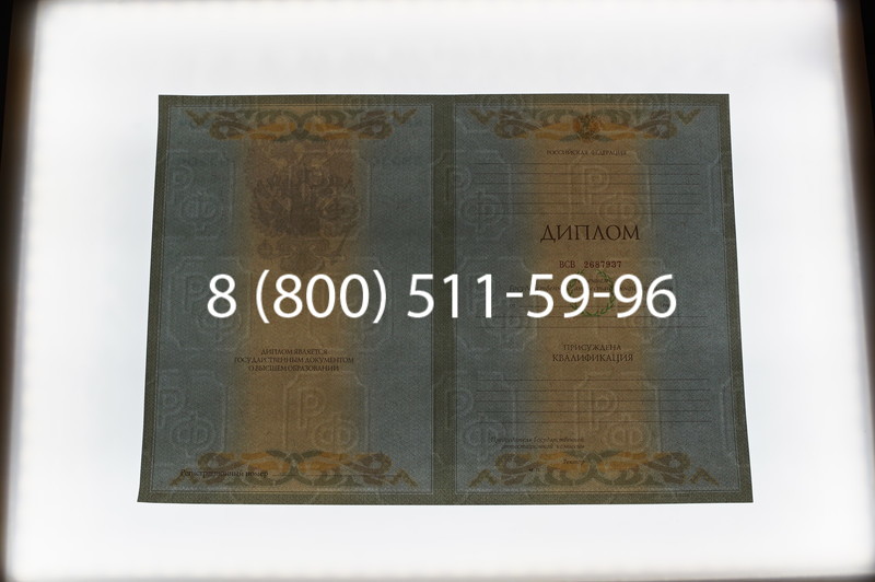Заказать Диплом специалиста 2003-2009 годов в Новосибирске