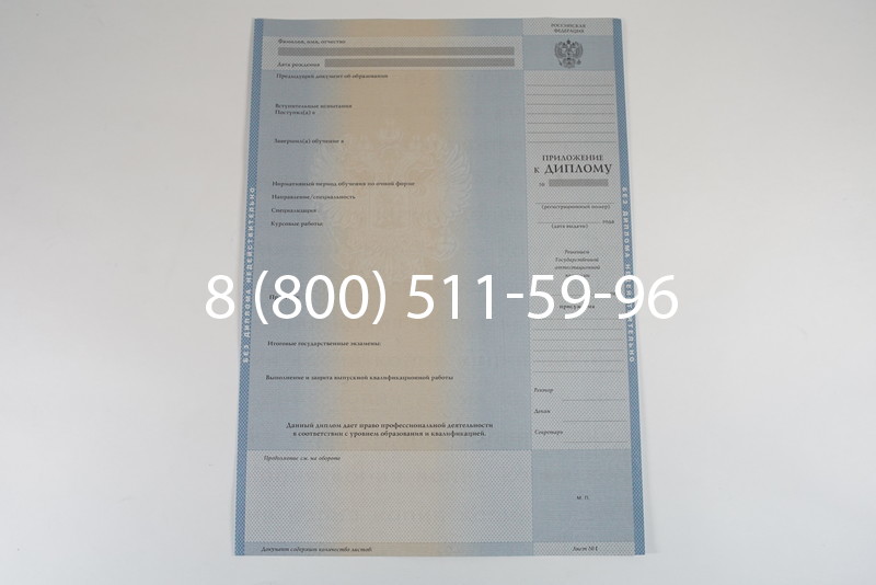Диплом специалиста 2003-2009 годов в Новосибирске