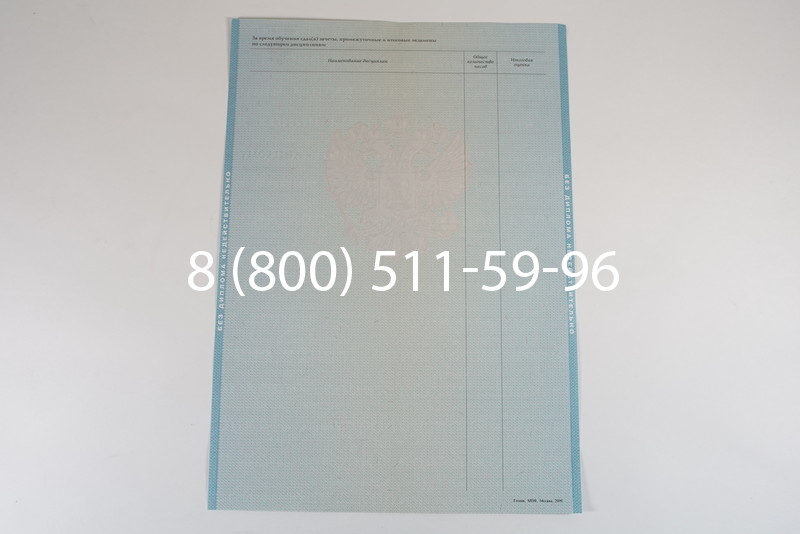 Диплом специалиста 2010-2011 годов в Новосибирске