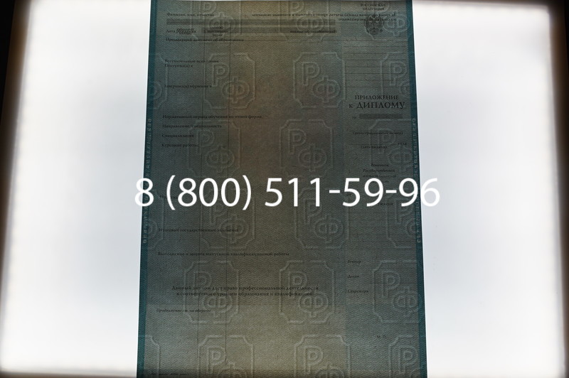Заказать Диплом специалиста 2010-2011 годов в Новосибирске