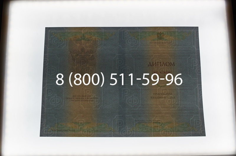 Заказать Диплом специалиста 2010-2011 годов в Новосибирске