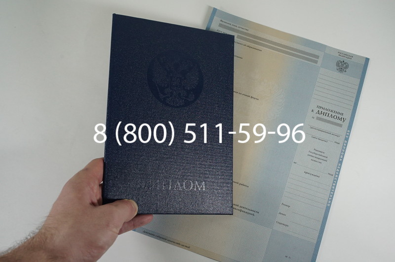 Диплом специалиста 2010-2011 годов в Новосибирске