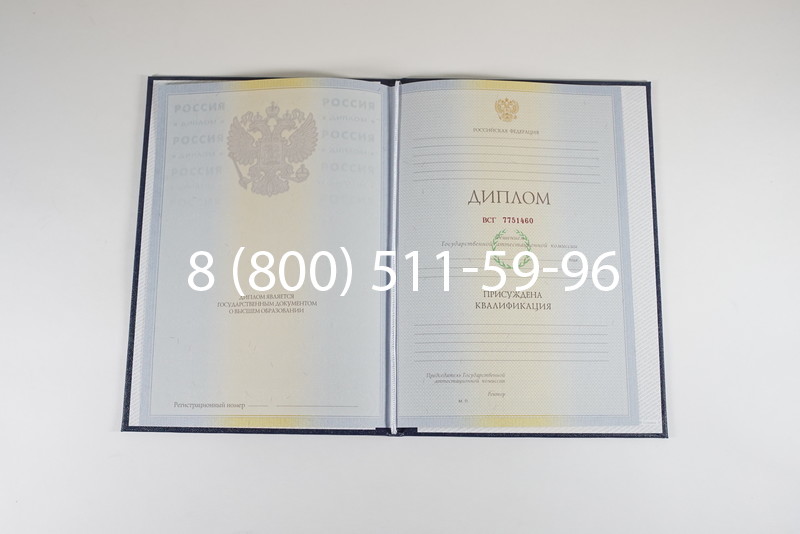 Диплом специалиста 2010-2011 годов в Новосибирске