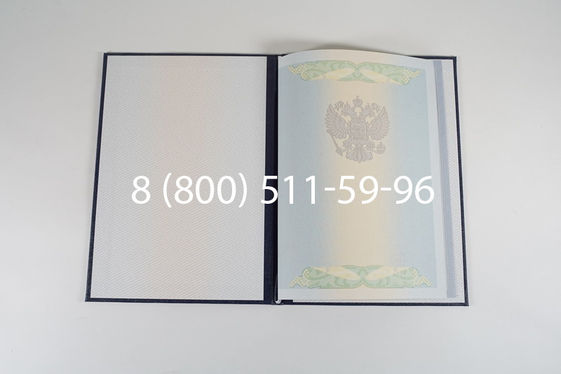 Диплом специалиста 2010-2011 годов в Новосибирске