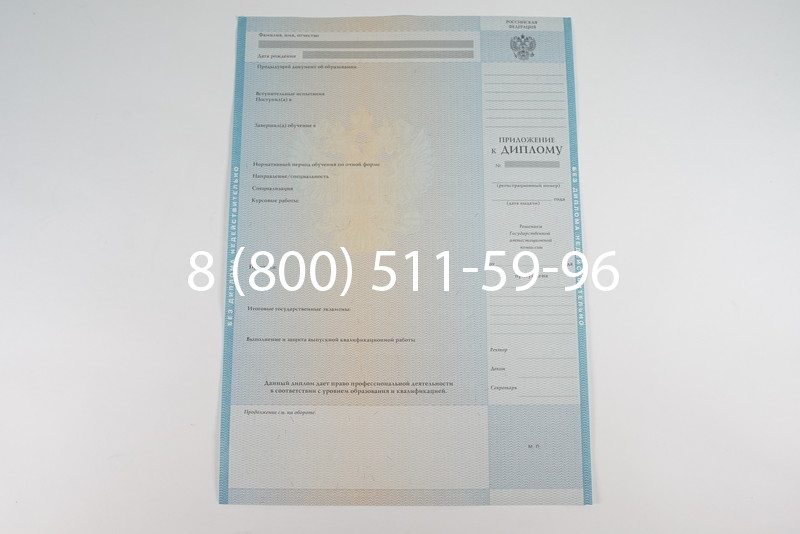 Диплом специалиста 2010-2011 годов в Новосибирске