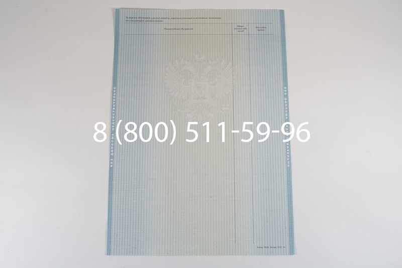 Диплом специалиста 2012-2013 годов в Новосибирске