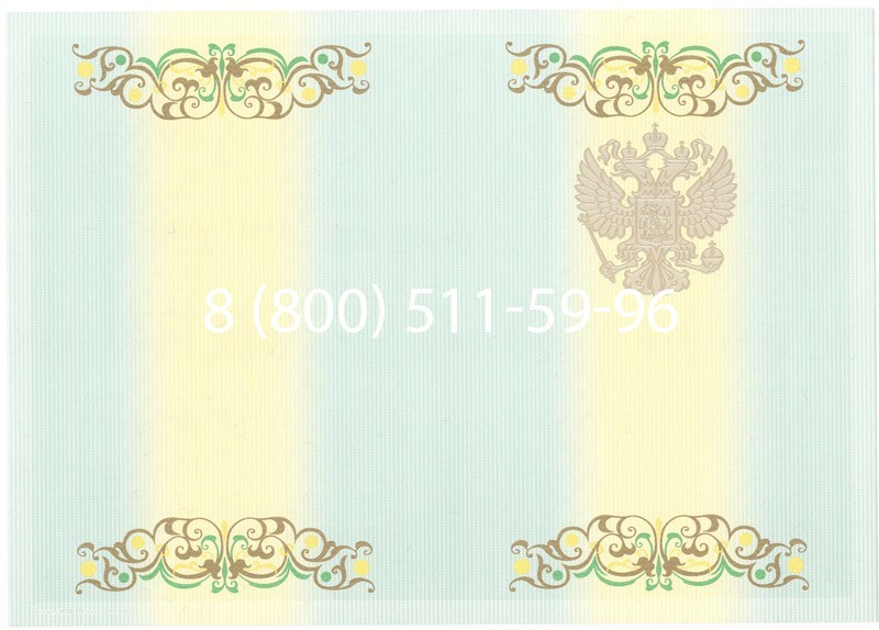 Купить Диплом специалиста 2012-2013 годов в Новосибирске