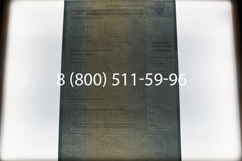 Заказать Диплом специалиста 2012-2013 годов в Новосибирске