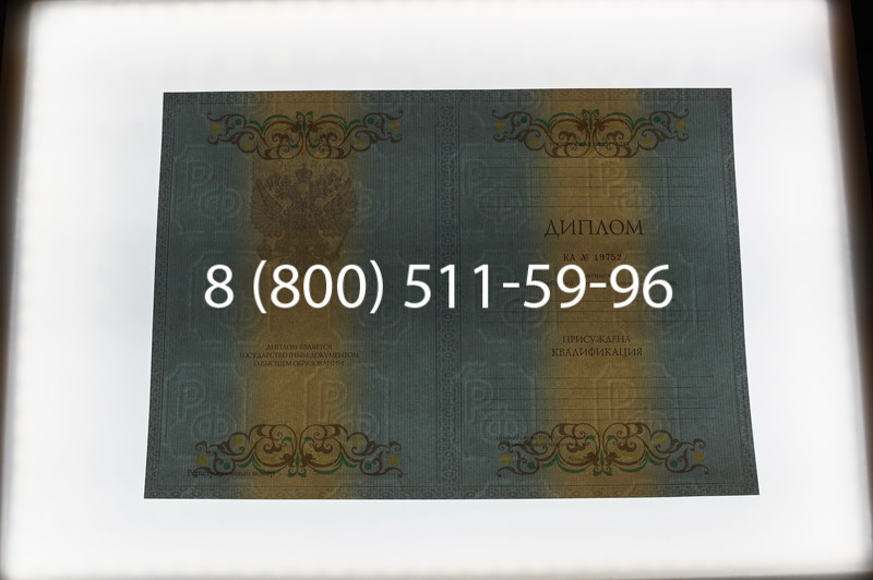 Заказать Диплом специалиста 2012-2013 годов в Новосибирске