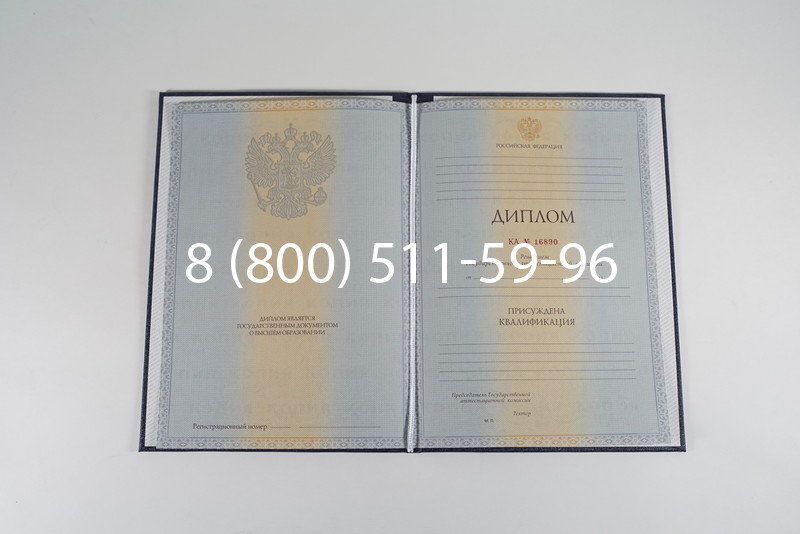 Диплом специалиста 2012-2013 годов в Новосибирске