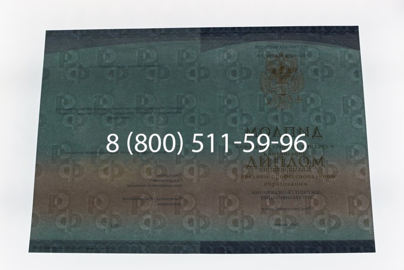 Диплом техникума (Спецбланк) 2014-2026 года в Новосибирске