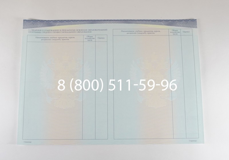 Диплом техникума (Спецбланк) 2014-2026 года в Новосибирске