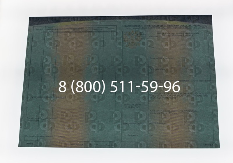 Диплом техникума (Спецбланк) 2014-2026 года в Новосибирске