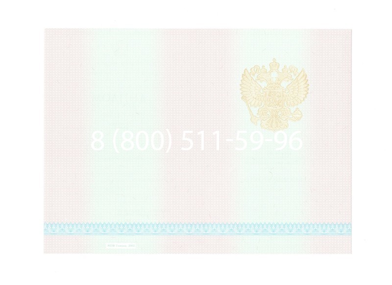 Заказать Диплом техникума 2003-2006 годов в Новосибирске