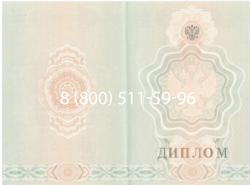 Купить Диплом училища 2007-2009 годов в Новосибирске