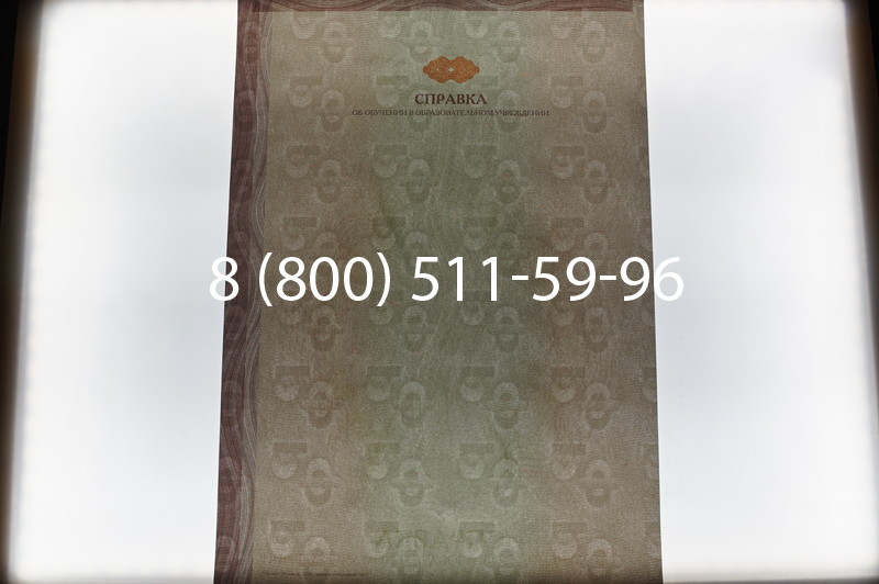 Купить Справка об обучении в Новосибирске