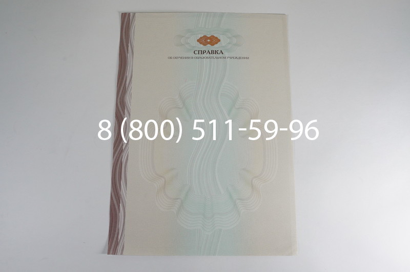 Заказать Справка об обучении в Новосибирске
