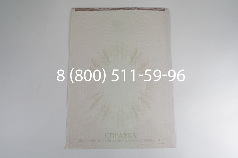 Заказать Справка об обучении в Новосибирске