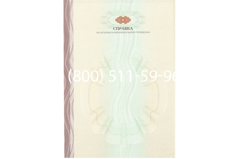 Купить Справка об обучении в Новосибирске