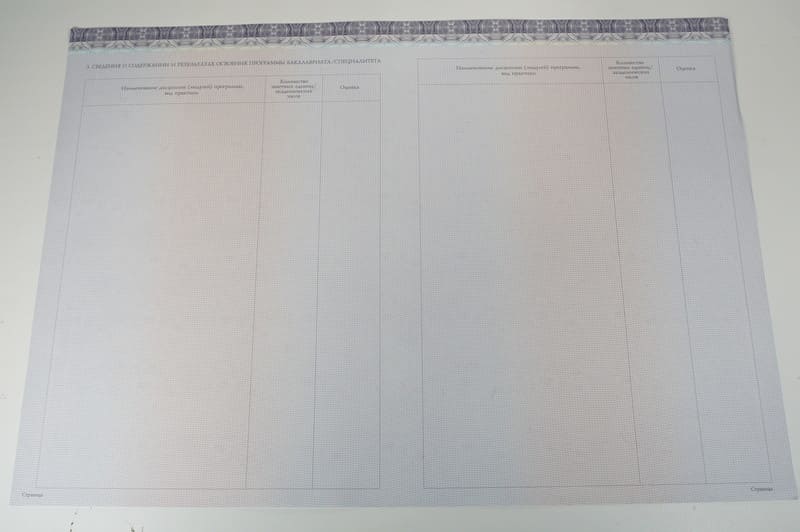 Красный Диплом (с приложением) в Новосибирске